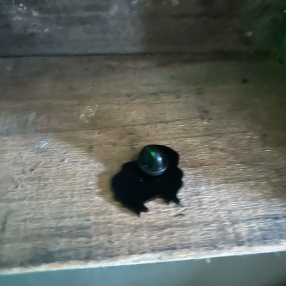 NWT Green and pink trucker had frog lapel pin. - Picture 2 of 3